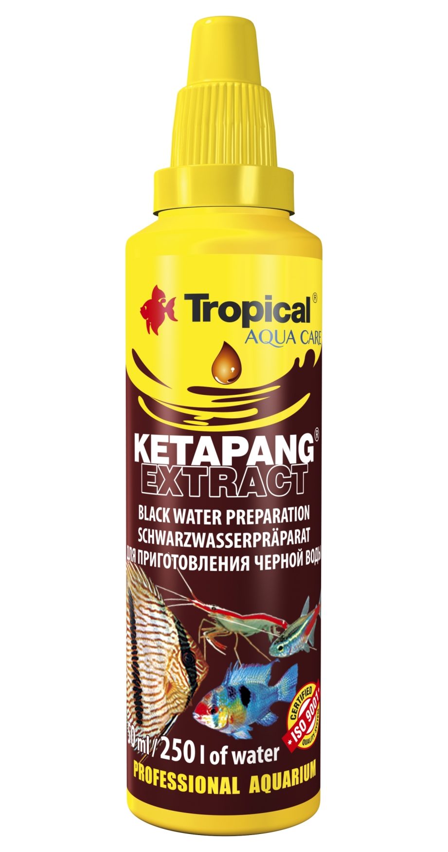 TROPICAL Ketapang extract 50ml