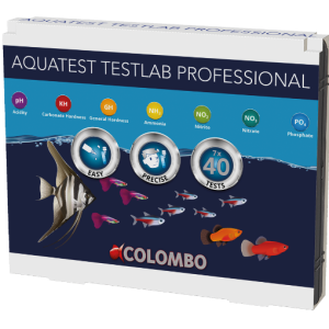 SF Colombo TestLab