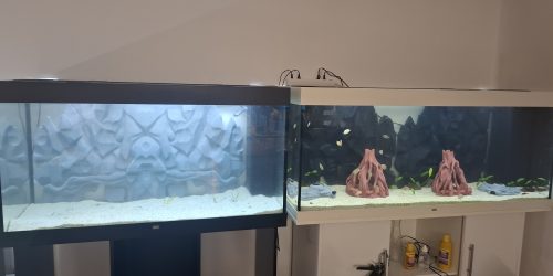 Dva velika Juwel Rio 450 akvarija s montiranim ZooHistria 3D pozadinama od PETG materijala u sivoj i tamnoj boji.