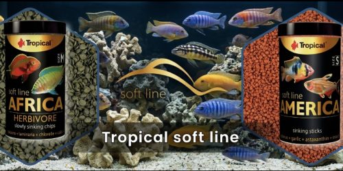 Tropical hrana za ribice Soft Line - Zoohistria