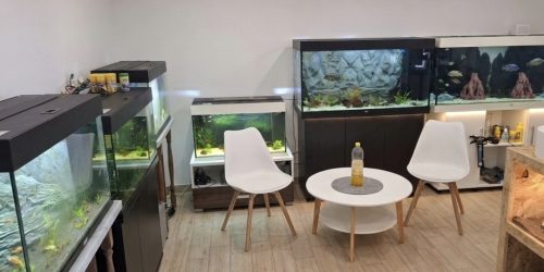 Moderni izložbeni salon akvaristike ZooHistria u Pamićima s postavljenim Juwel akvarijima i unikatnim 3D pozadinama.