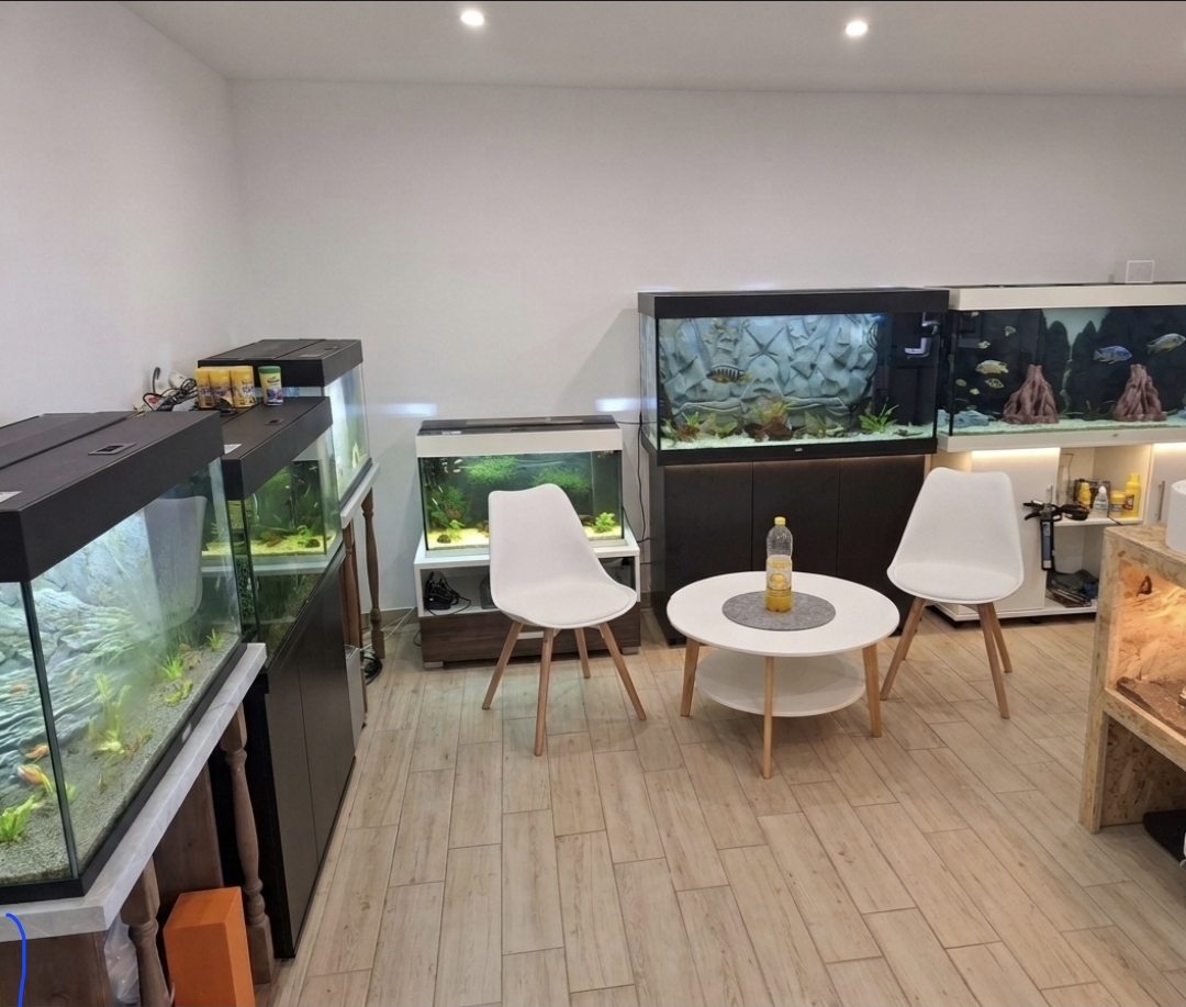 Moderni izložbeni salon akvaristike ZooHistria u Pamićima s postavljenim Juwel akvarijima i unikatnim 3D pozadinama.