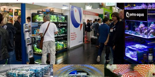 Uvoz akvarijskih riba Petra Aqua Češka - Zoohistria Hrvatska